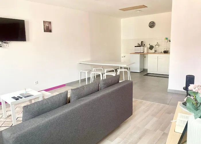 Appartement Du Bourg Lourdes